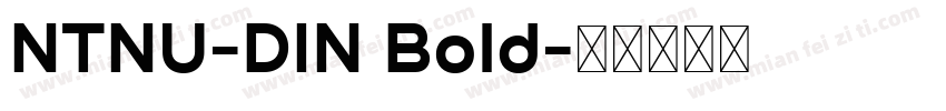 NTNU-DIN Bold字体转换